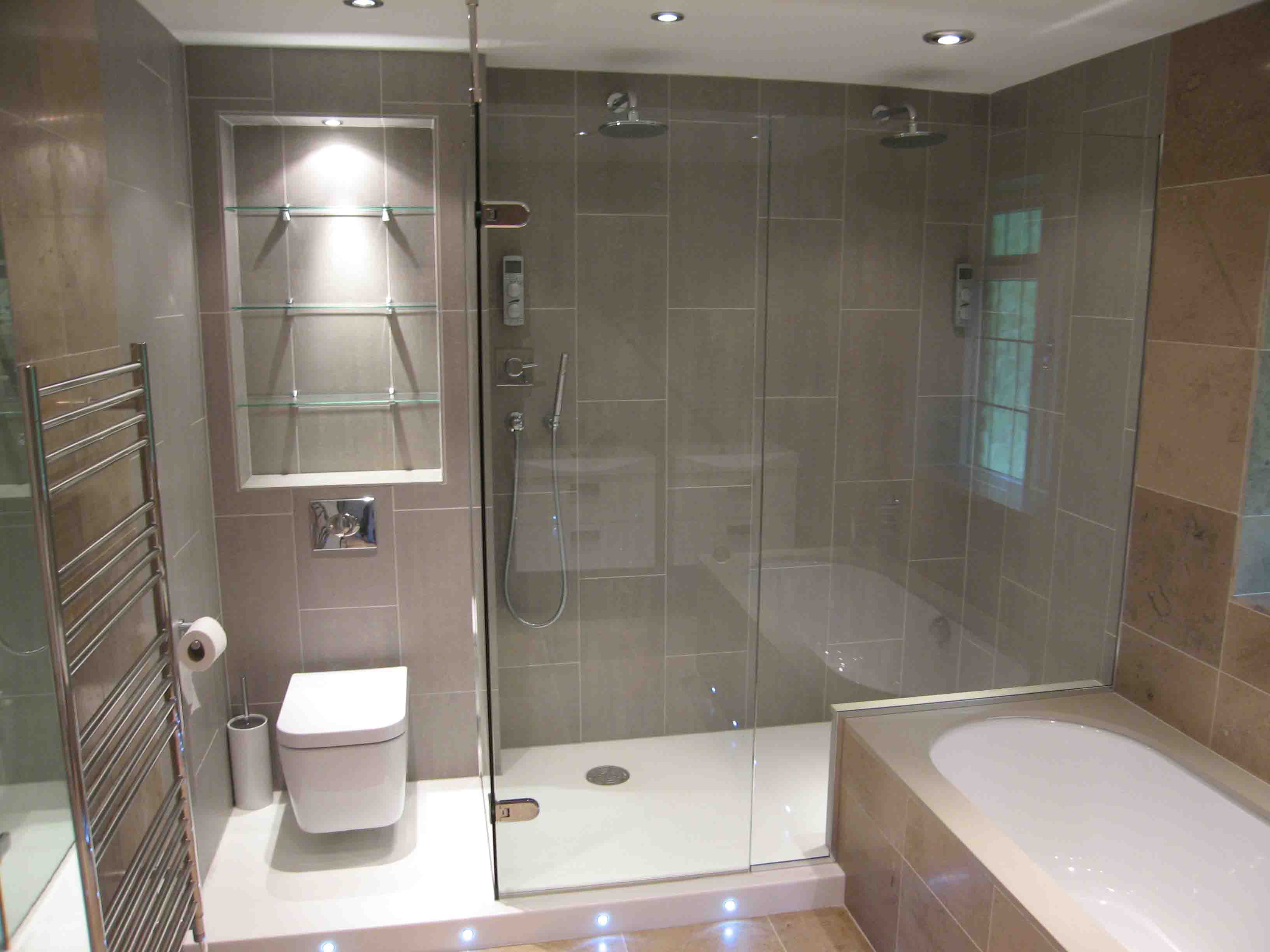 Frameless Shower 1